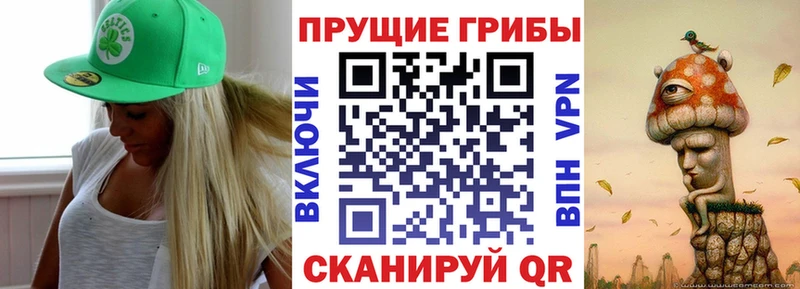Купить где  Сатка  Галлюциногенные грибы Magic Shrooms 